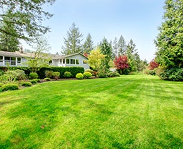 house with a lot of grass
